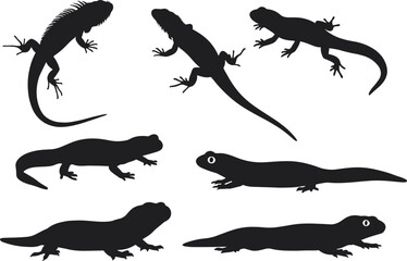 Lizard silhouette vector set, reptile species clipart, black animal shapes, herpetology illustration, amphibian design, isolated lizards, nature graphic collection