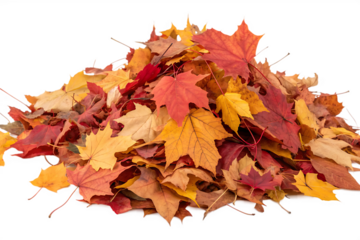 White virtual reality headset On Transparent Background