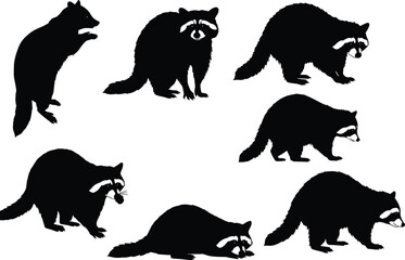 Raccoon animal silhouettes in various poses, walking, sitting, and standing, perfect for wildlife design, vector graphics, and nature-themed projects.