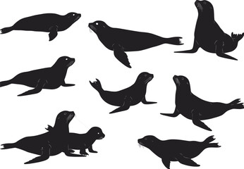 Silhouette of playful sea lions in various poses, ideal for marine wildlife designs, educational materials, and coastal-themed vector illustrations