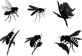 Silhouette vector collection of bees, flies, insects, and flower in detailed natural poses, perfect for entomology, nature, biodiversity, and ecological themed design projects