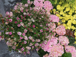 Herbstliche Stauden Bepflanzung in Draufsicht