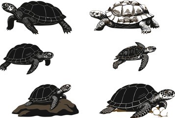 Turtle silhouette vector set, walking, swimming, nesting poses, wildlife animal illustration, nature clipart for education, biology, conservation, and design