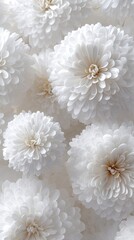 A collection of soft white flowers is arranged thoughtfully, bringing a sense of peace and elegance to the surroundings