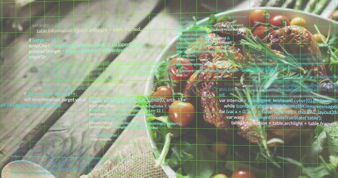 Green grid overlay fading in over chicken veggie bowl, code scrolling illustrating recipe