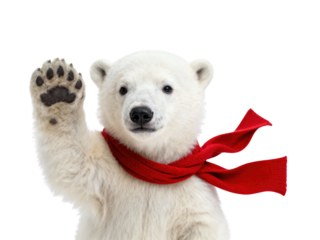 Waving Polar Bear Cub with Red Scarf on White