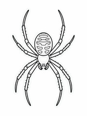 Black and white line drawing of a garden spider