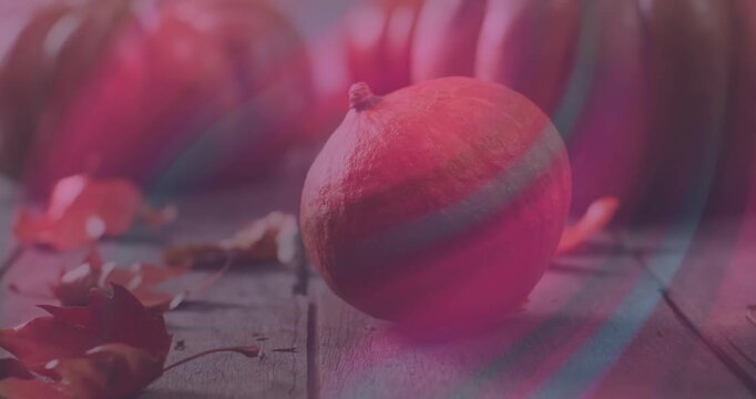 On clip start translucent bands sweeping diagonally across pumpkin, pulsing to create autumn mood