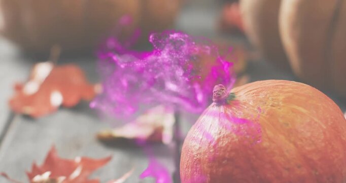 Magenta wisp materializing over pumpkin, purple energy swirling pulsing fading enchanting harvest