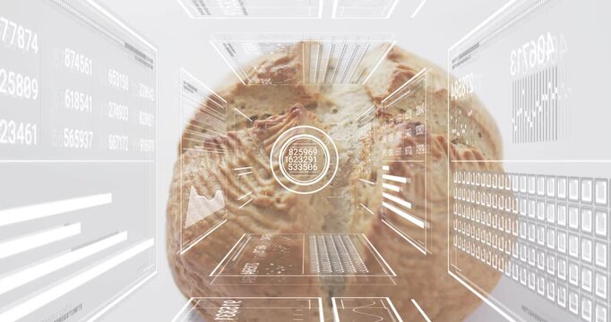Holographic scanner appearing around loaf causing rotation, updating panels for 3D texture analysis