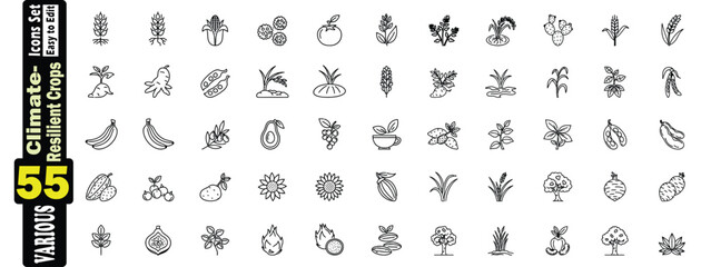 Climate Resilient Crops Icons Set.  Various Fruits, Vegetables, and Grains agriculture, farming, food, healthy, organic, plant, vegetable, fruit, grain, harvest, growth, nature, illustration. 