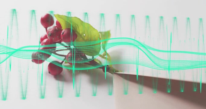 Waveforms appearing around red berry sprig, pulsing to visualize rhythm while sprig shifting right