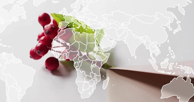 After delay map fading and panning across world over red berry sprig showing connectivity