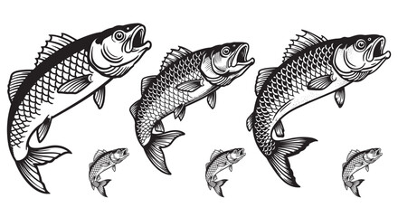 Dynamic jumping fish hand-drawn illustration set