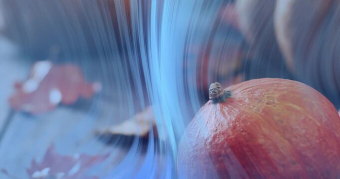 Blue ripple sweeping over orange pumpkin warping wood, leaves then receding to reveal clear scene