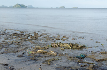 A Polluted Beach with Piles of Trash and Plastic Waste