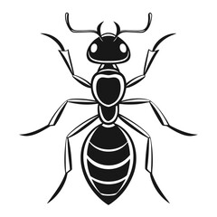 ant on white background