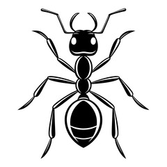 ant on white background
