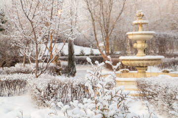 A fragment of a landscape park in winter, trees, bushes and a fountain under the snow.. A place of...