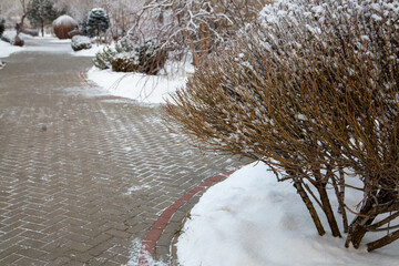 A fragment of a landscape park in winter with beautifully trimmed trees and shrubs. A place of...