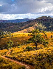 Golden hills, rugged landscape