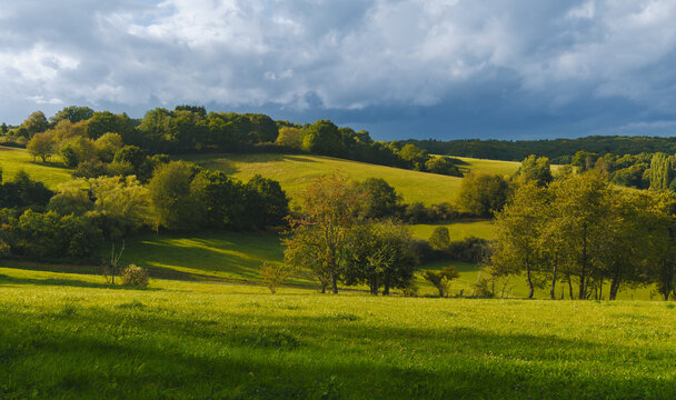 Ausgedehnte Weidefl&auml;chen und W&auml;lder in Marbach bei milder warmer Abendsonne im September