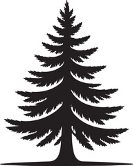 Majestic evergreen pine tree silhouette isolated on white for natural design elements