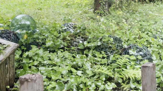 雨に濡れる緑豊かな庭園の風景