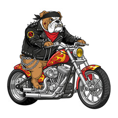 Cartoon bulldog biker wearing a studded leather jacket and bandana riding a motorcycle with flame details.