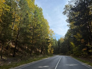 Landscape with an empty asphalt road through the forest in autumn. Travel. Trip