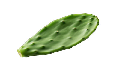 Fresh Green Prickly Pear Cactus Pad Isolated on Black Background