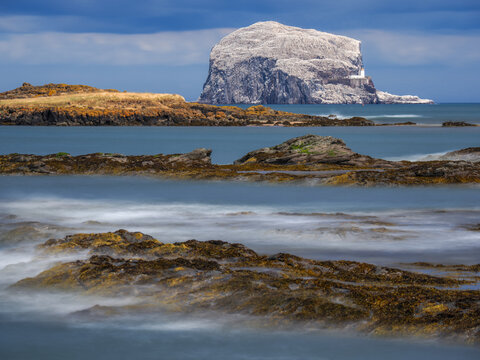 Bass Rock Island in Firth of Forth Sea, copy space