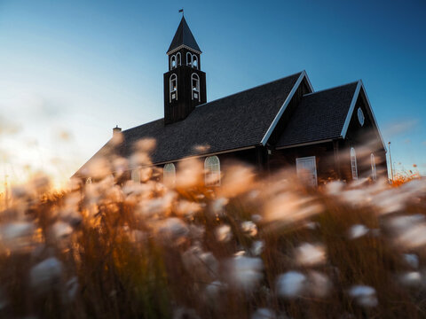 Zion Church in Ilulissat at sunset with blurred arctic cotton grass in the foreground, Greenland