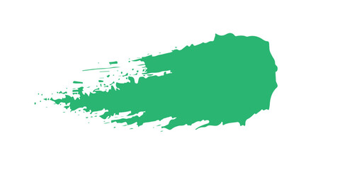 A vibrant forest floor with ferns and moss under a canopy of green trees.