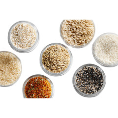 A vibrant collection of diverse grains and seeds artfully arranged in clear containers, showcasing natural textures and colors for culinary inspiration.