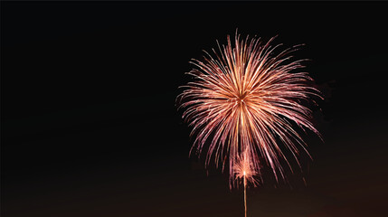A vibrant firework display lighting up the night sky, with colorful bursts and a dark backdrop, showcasing a festive atmosphere