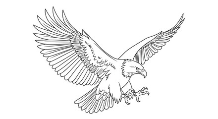 Obraz premium A detailed line drawing of a majestic bird of prey with its wings spread wide in flight.