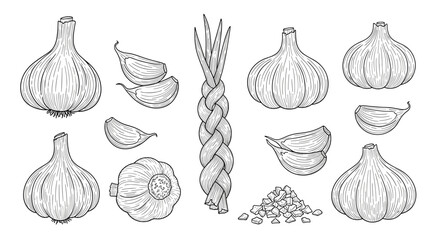 A collection of garlic bulbs cloves and chopped garlic.