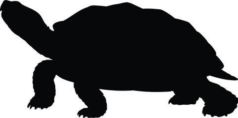 A simple black silhouette of a turtle against a blank white background