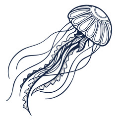 Detailed Outline Illustration of a Jellyfish with Flowing Tentacles on White Background