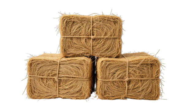 Three Hay Bales in a Row on Black Background agriculture isolated on a transparent background