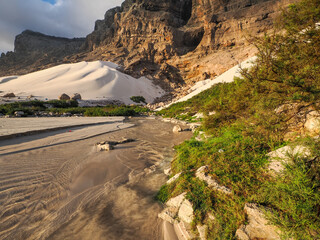 Detailed sand textures on a coastal beach with dunes, cliffs, and vegetation under soft evening light, Socotra, Yemen