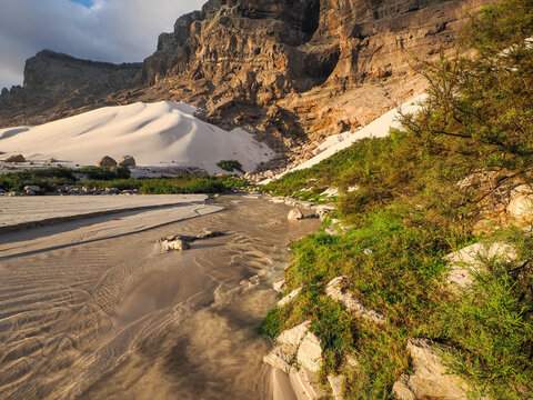 Detailed sand textures on a coastal beach with dunes, cliffs, and vegetation under soft evening light, Socotra, Yemen