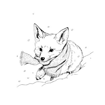 fox wearing scarf in snow clip art preview