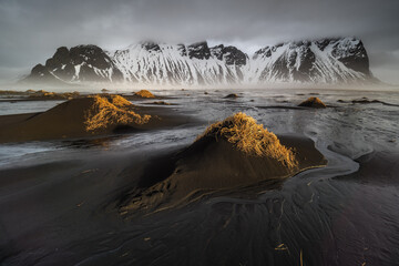 Snowy Vestrahorn mountain behind black sand dunes with golden grass at Stokksnes beach under moody sky