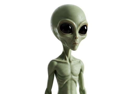 Detailed depiction of a grey alien with large eyes against a plain background