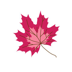 Vivid pink maple leaf illustration against a stark black background, showcasing autumn.