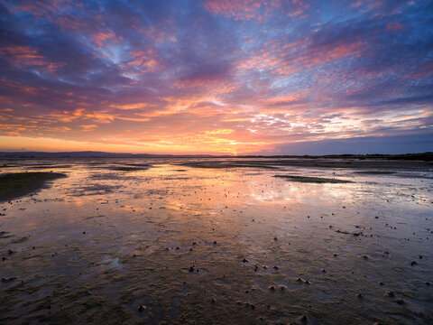 Sunset reflections at Holy Island at low tide Tidal flats reflecting dramatic sunset sky with vibrant clouds and wet sand at low tide