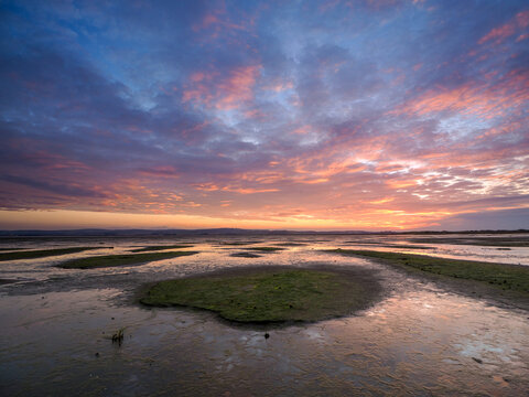 Sunset reflections at Holy Island at low tide. Vivid sunrise over tidal flats with patches of grass, wet sand and colorful clouds above the sea