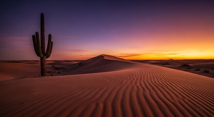 Vast Desert Dunes Under a Spectacular Sunset With a Lone Saguaro Cactus